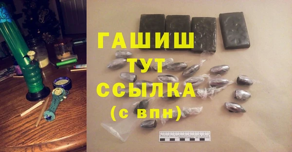 сатива Беломорск