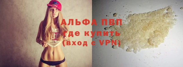 сатива Беломорск