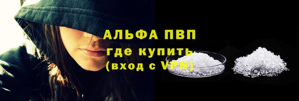 сатива Беломорск