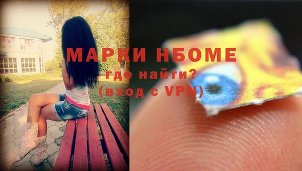 сатива Беломорск