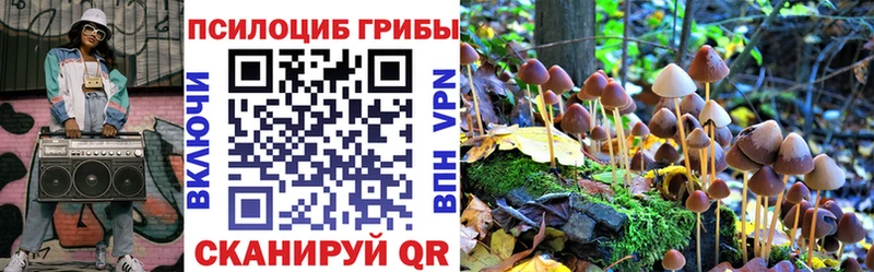 Псилоцибиновые грибы мухоморы площадка какой сайт Каменск-Уральский